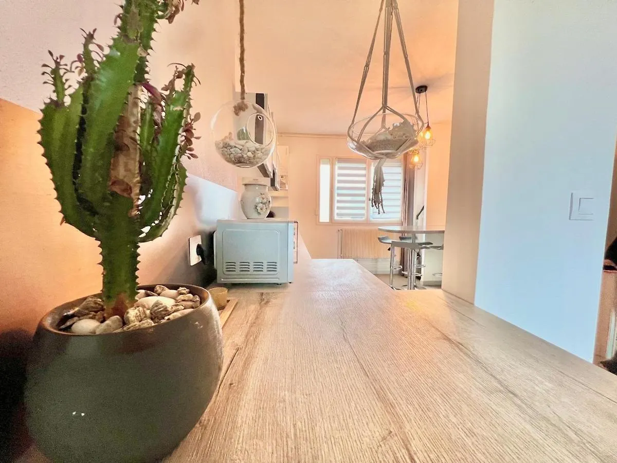 Apartment Comfortable T2 Annecy